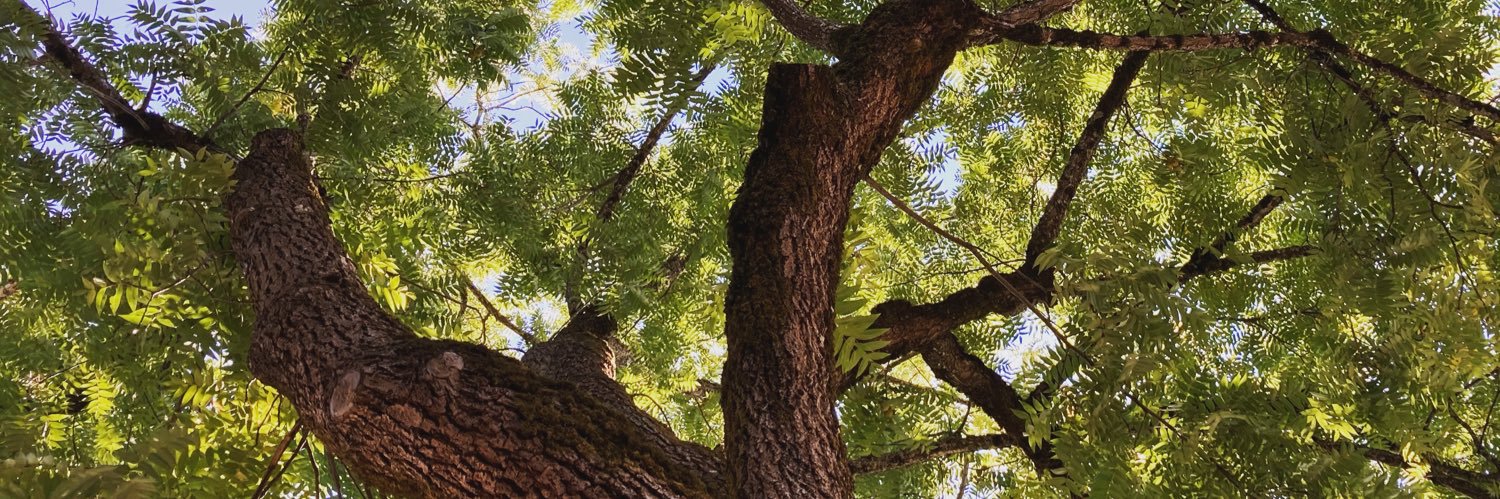 EmilyKDonaldson's profile banner image