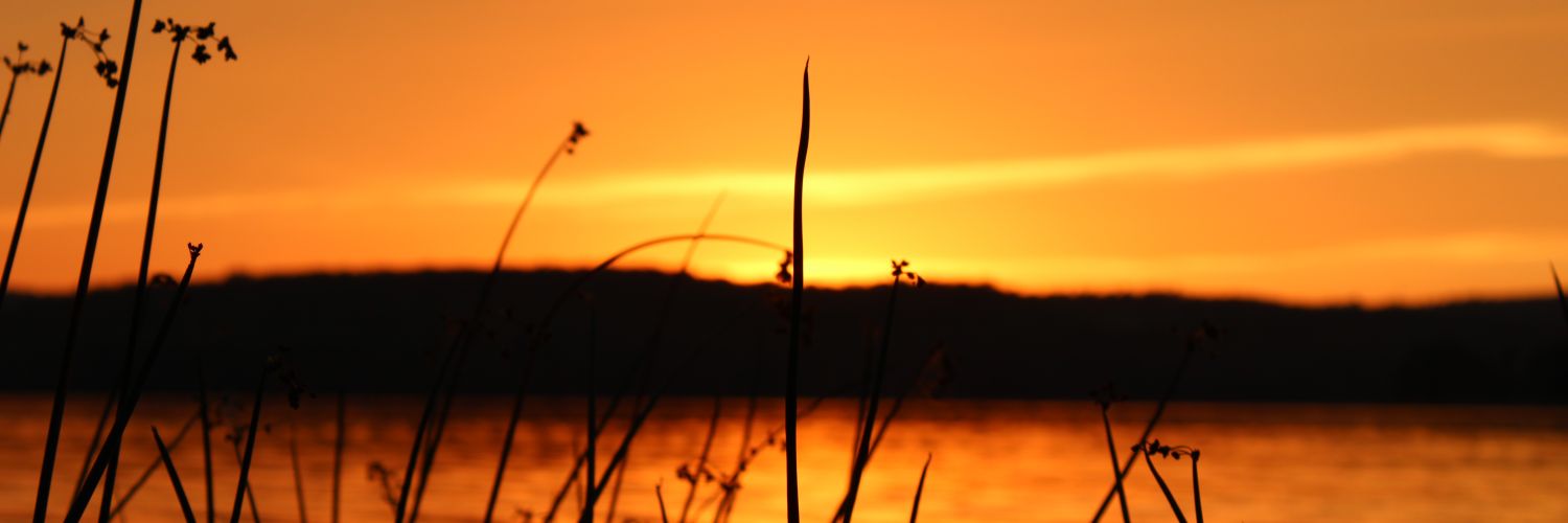 gingerlou27's profile banner image