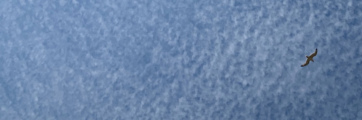jakubstec2's profile banner image