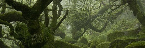 KryptoCatGirl Profile Banner