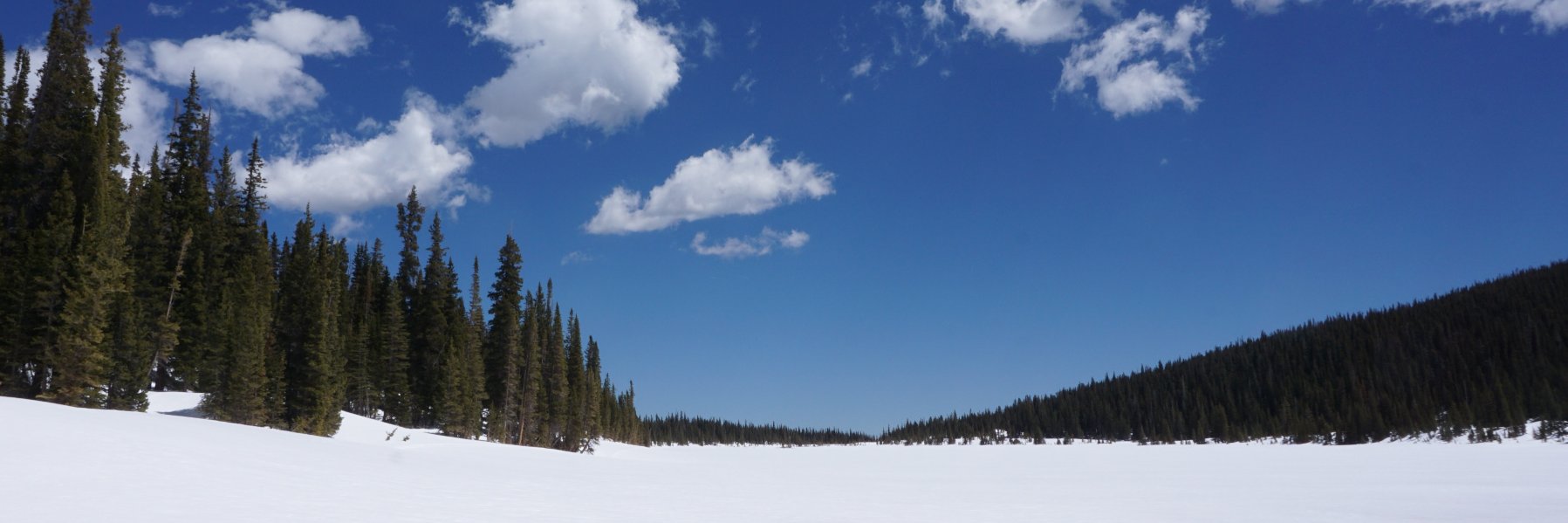 Dr. Josh Emdur banner