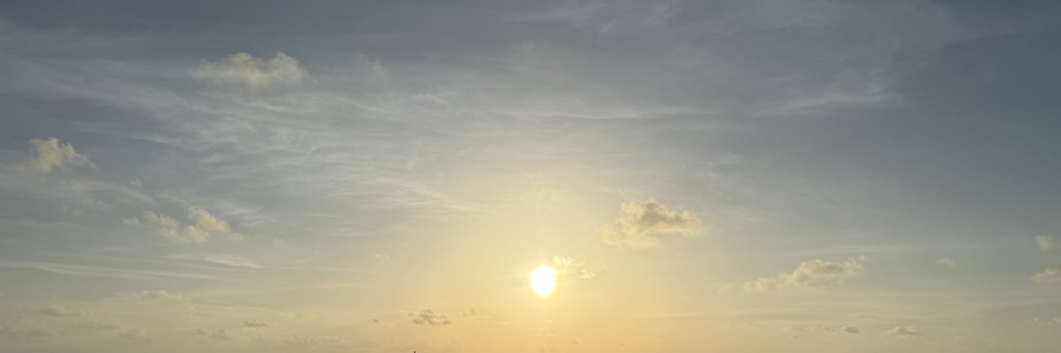 ✦'s banner