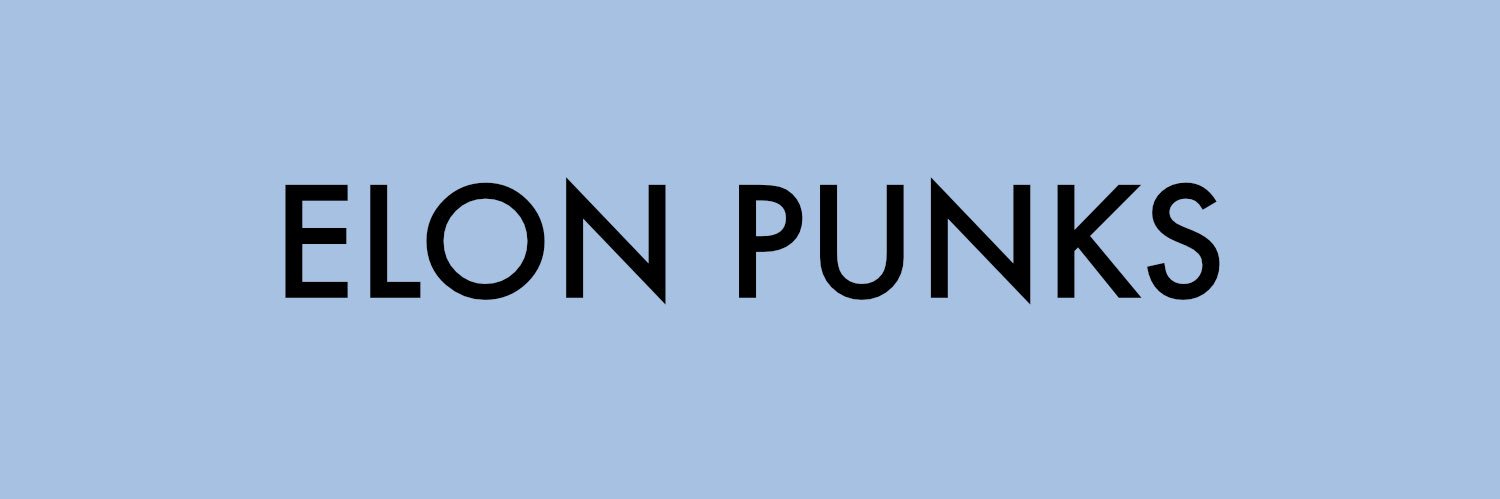 Elon Punks banner