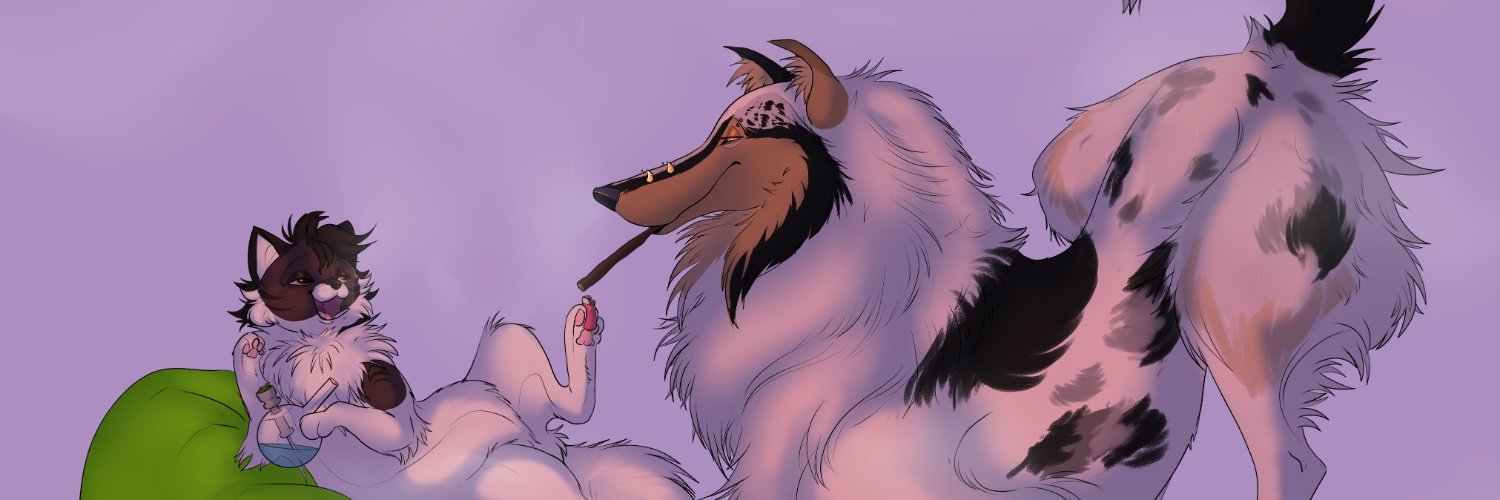 Salami 🐈 🔞 banner