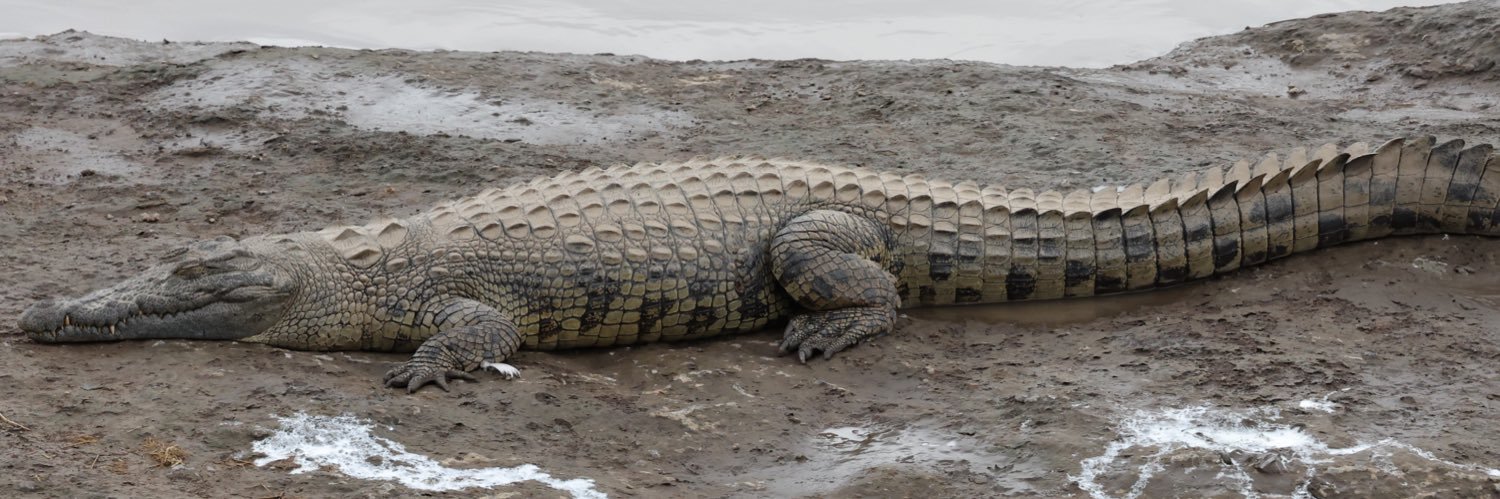 Matt #NFTNYC2024 banner