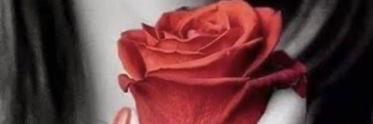 ALam3Rah911's profile banner image