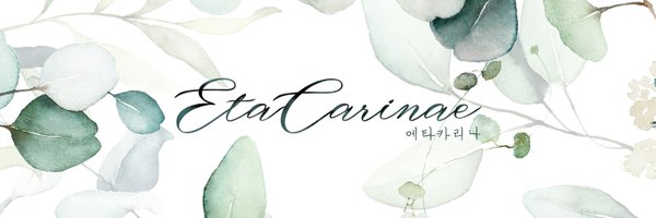 ETA 에타카리나 Profile Banner