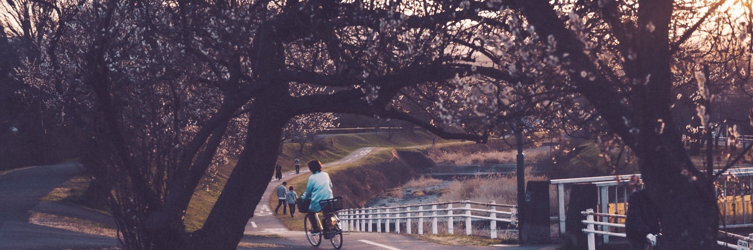 Young Candichu banner