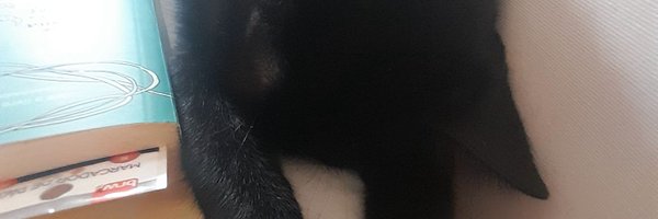 eepyCoffbreak Profile Banner