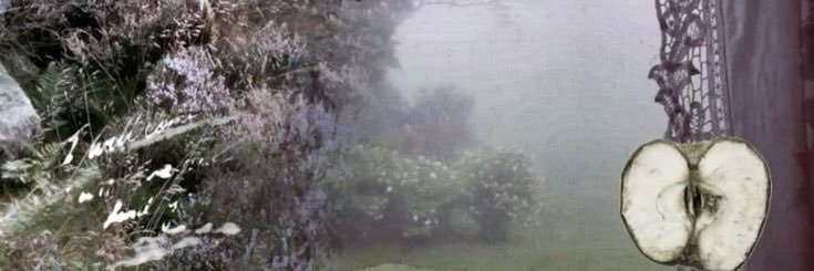 vonixi_'s profile banner image
