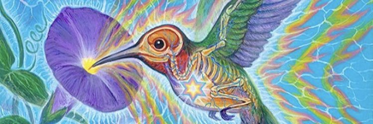 sabbykattt's profile banner image