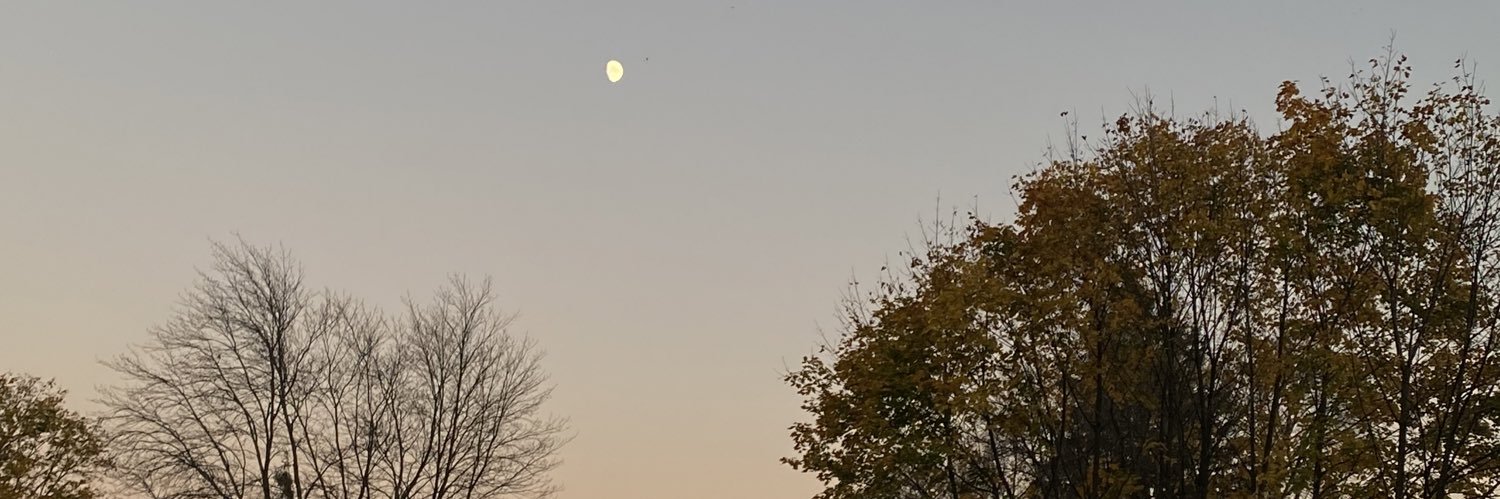 ddachisen's profile banner image