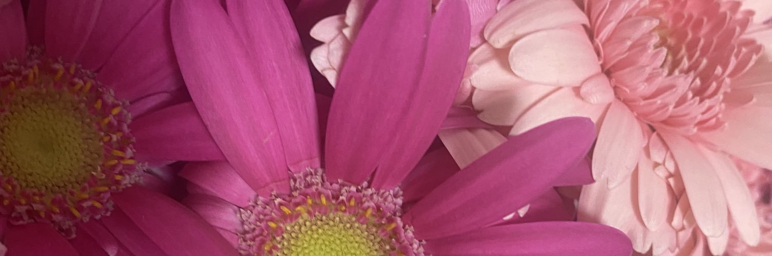 biglovest's profile banner image