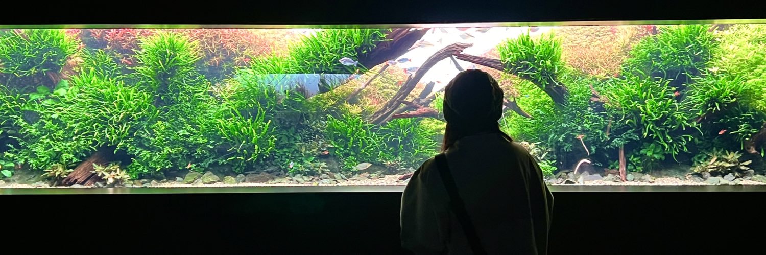 ひらたいひらた banner