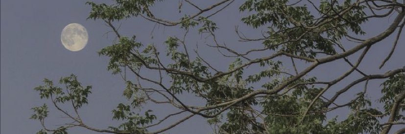Reemyasser16's profile banner image