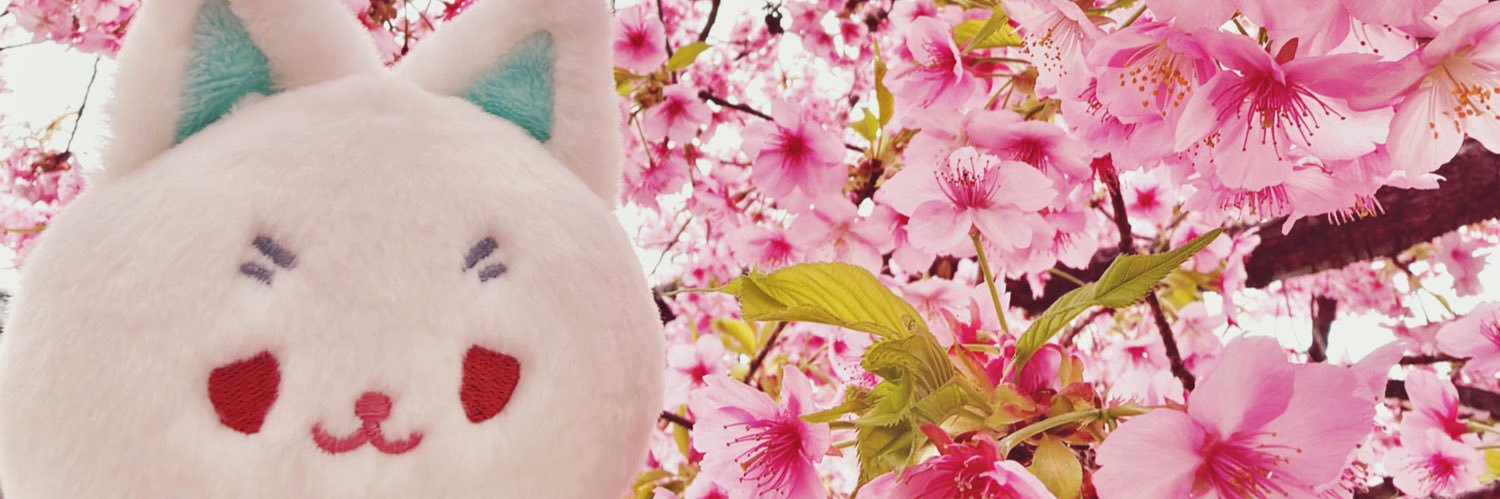 らの𐂃ゆるく浮上中 banner