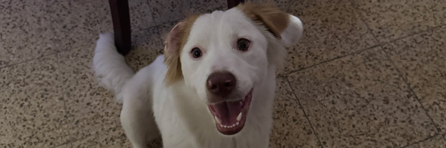 camilacarrionb's profile banner image
