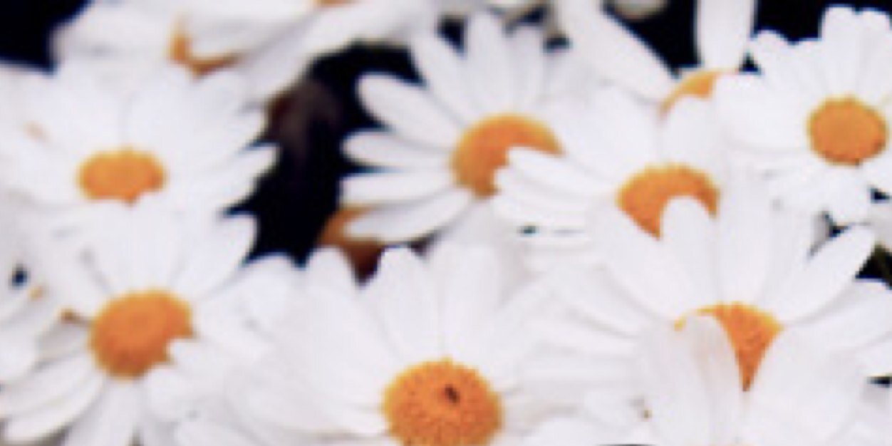 karenNTK's profile banner image