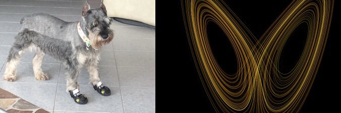 N. banner
