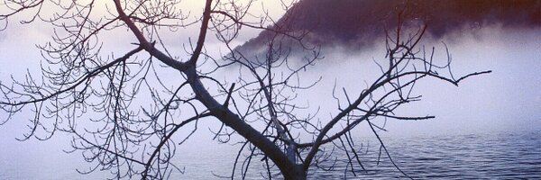 yurilev77 Profile Banner