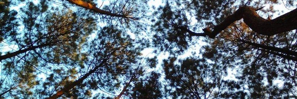 braderfinn's profile banner image