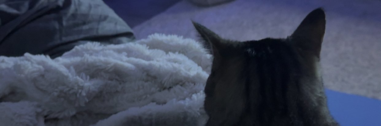 Sarahnahhas's profile banner image