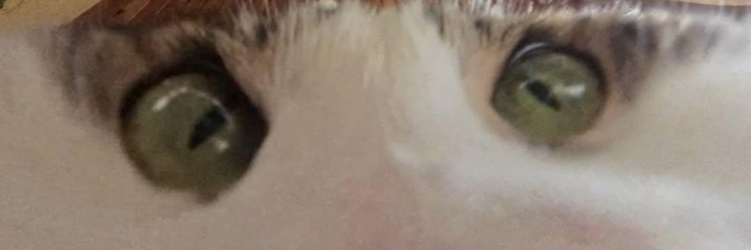 Pankonqso's profile banner image