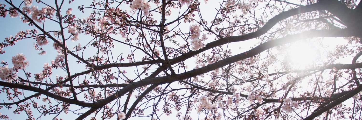 Mag_lubsrabbit's profile banner image