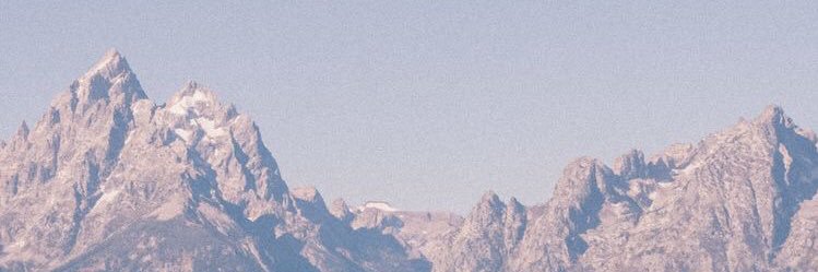 sarahnrdna's profile banner image