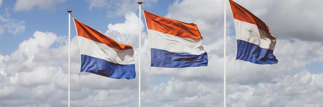 Guus Daal banner