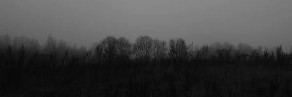 mas il banner