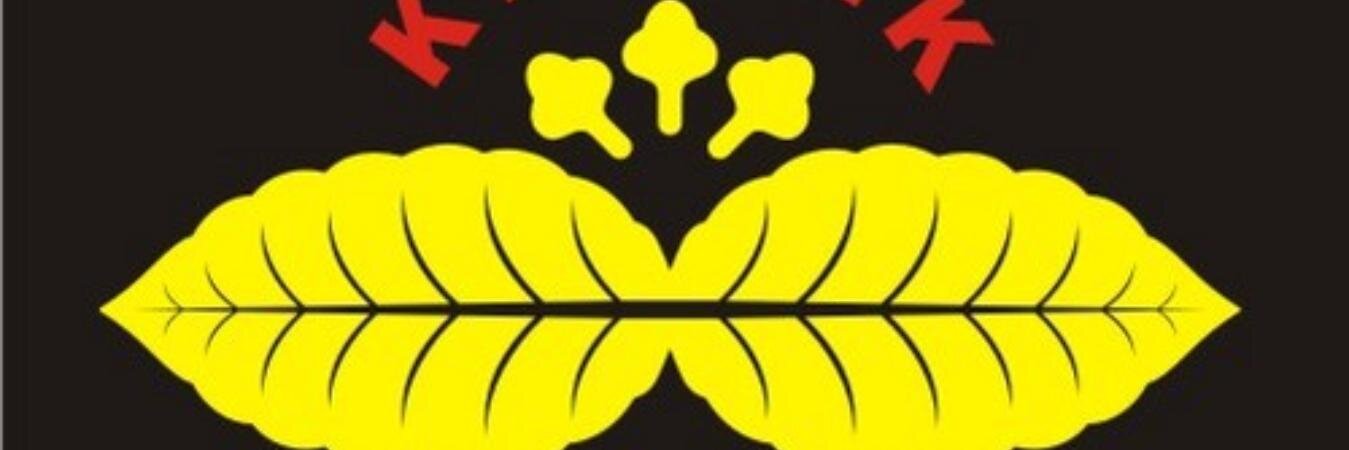 JoelSwarman's profile banner image