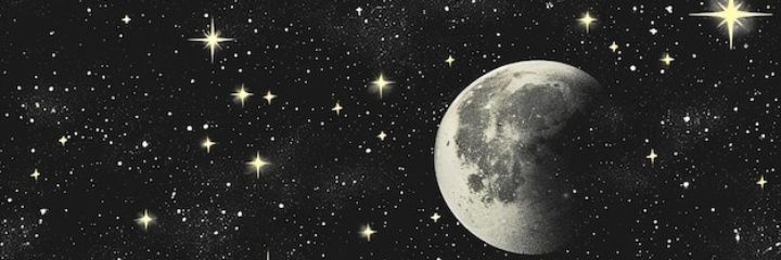Vicky 🪷 banner