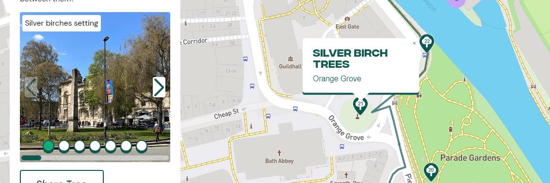 Bath Urban Treescape banner