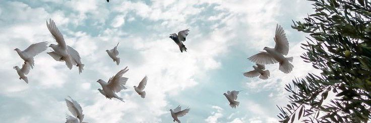 فاطـمــة | FATIMA banner