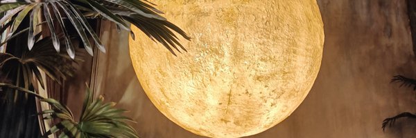 oungpadid12343 Profile Banner