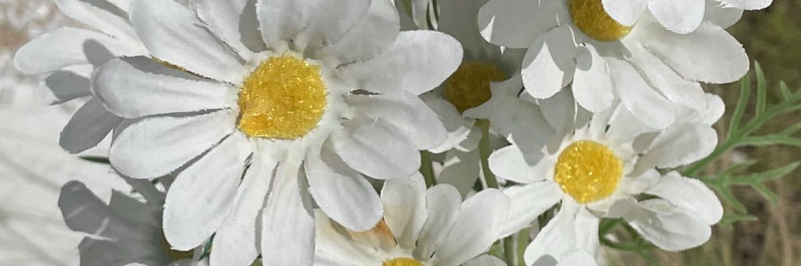 RaRashod's profile banner image