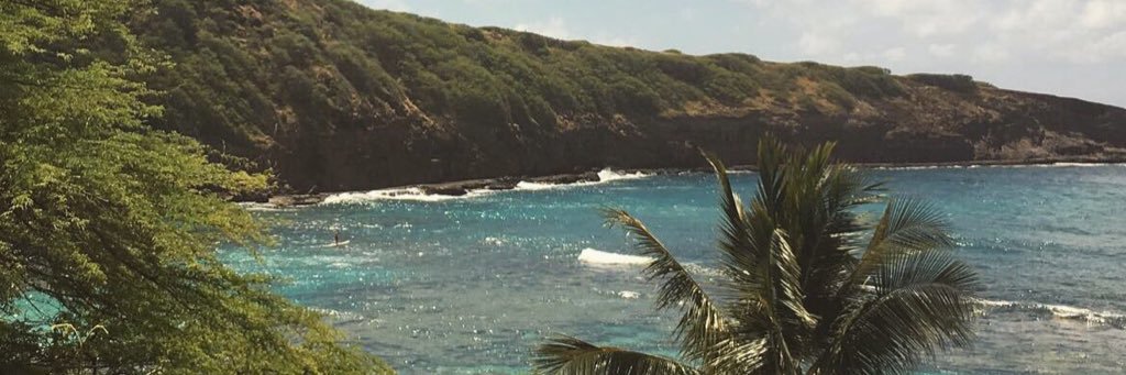marylesty's profile banner image