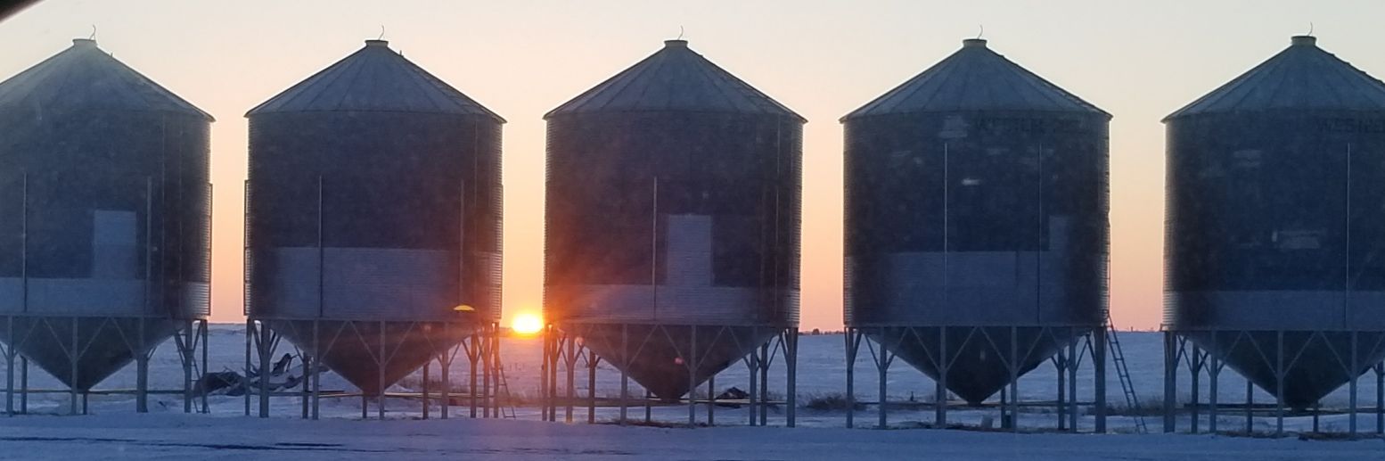 Tony Britnell🇨🇦🇺🇦 banner