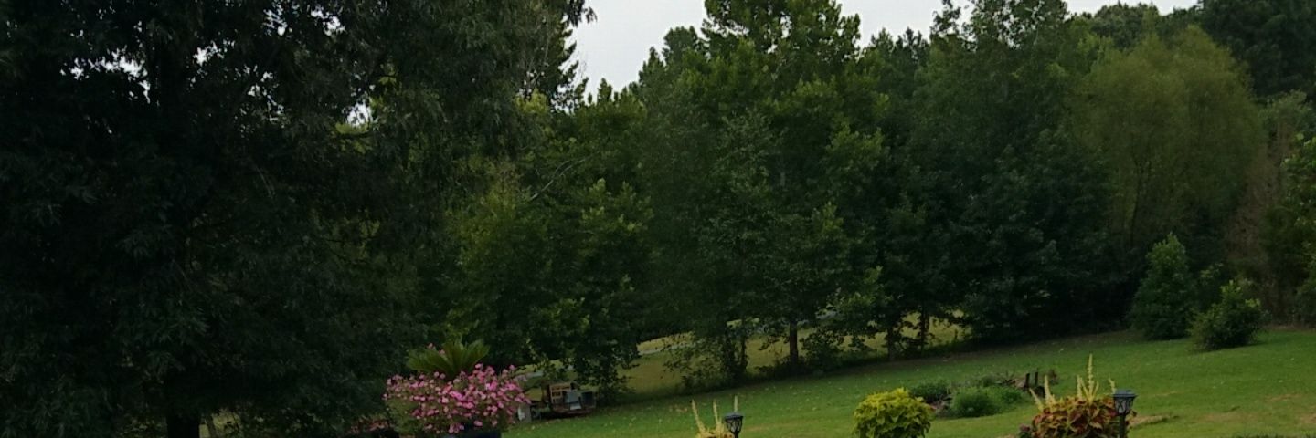 i_am_kalin's profile banner image