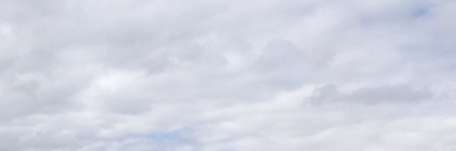 formosabred's profile banner image