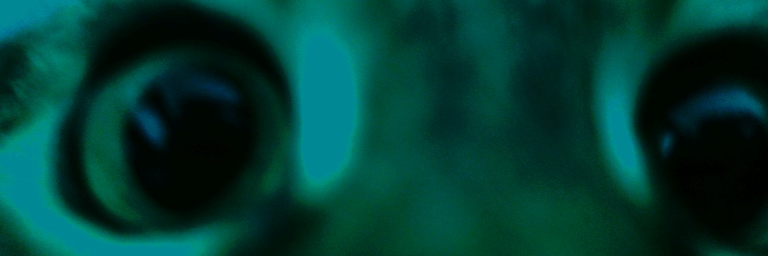 akaPollymorphic's profile banner image