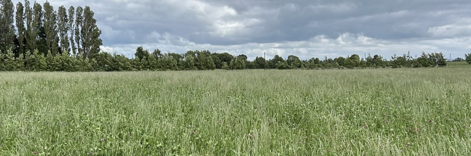 Solohead Farm banner