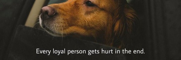 poltakraflii Profile Banner