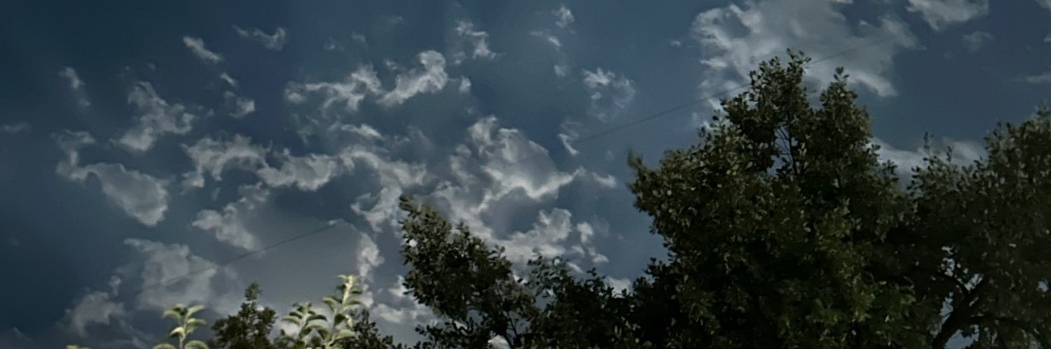 slkhddnv's profile banner image