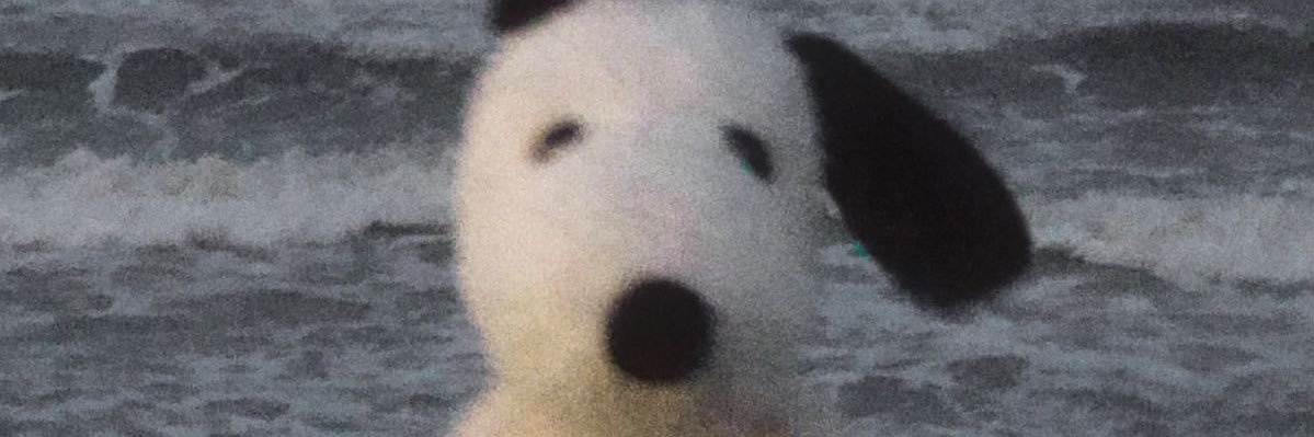 momoa ☆ cr: neon genesis evangelion!! banner