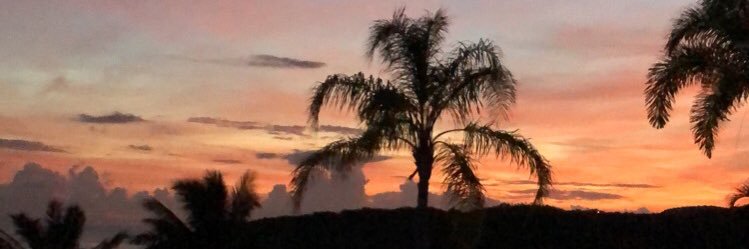 bbluntbae's profile banner image