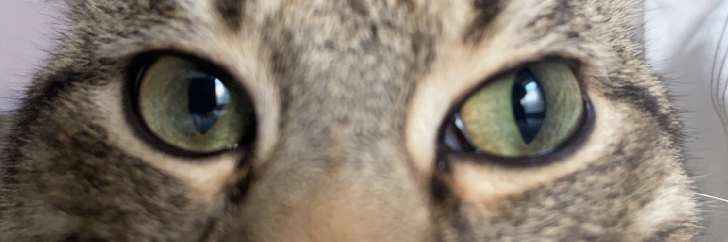 jonnyboy7917's profile banner image