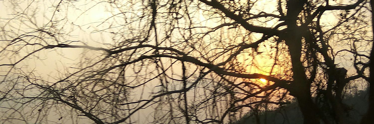 grvsxn15's profile banner image