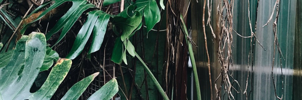 hel_paynter's profile banner image